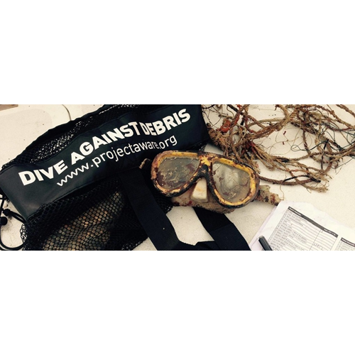 Dive Against Debris Dive